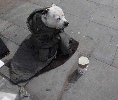 http://www.worldmeets.us/images/dog-london-hard-times_pic.png